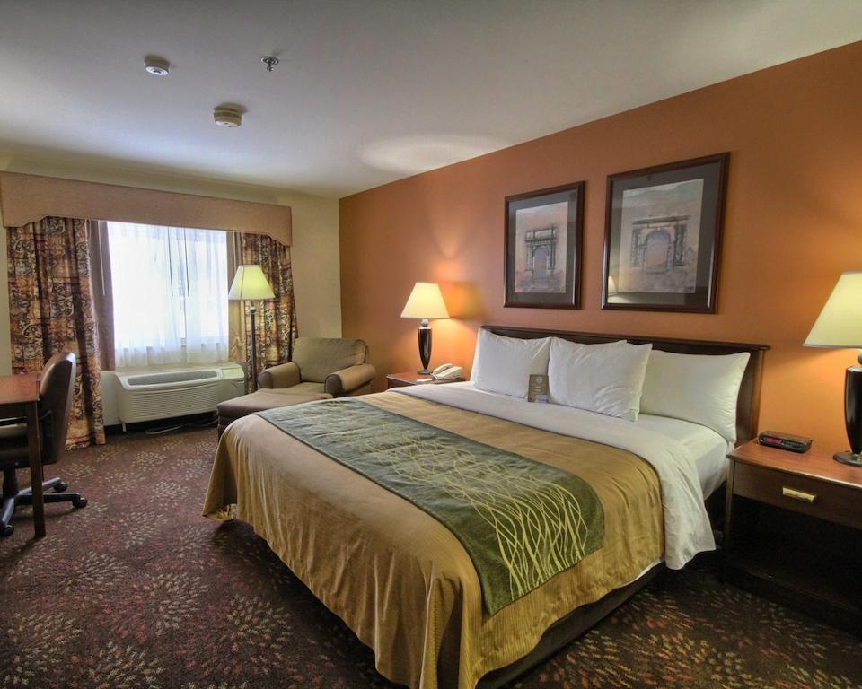 Comfort Inn Okemos - East Lansing Exterior photo